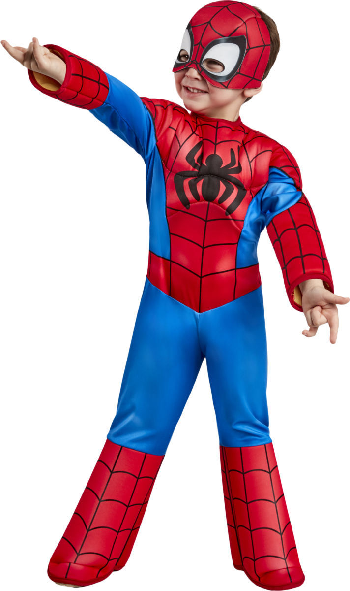 afslappet gør det fladt Mentalt Køb Marvel Spider-Man Kostume | Jollyroom