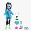Monster High Creepover Party Dukke Frankie Stein