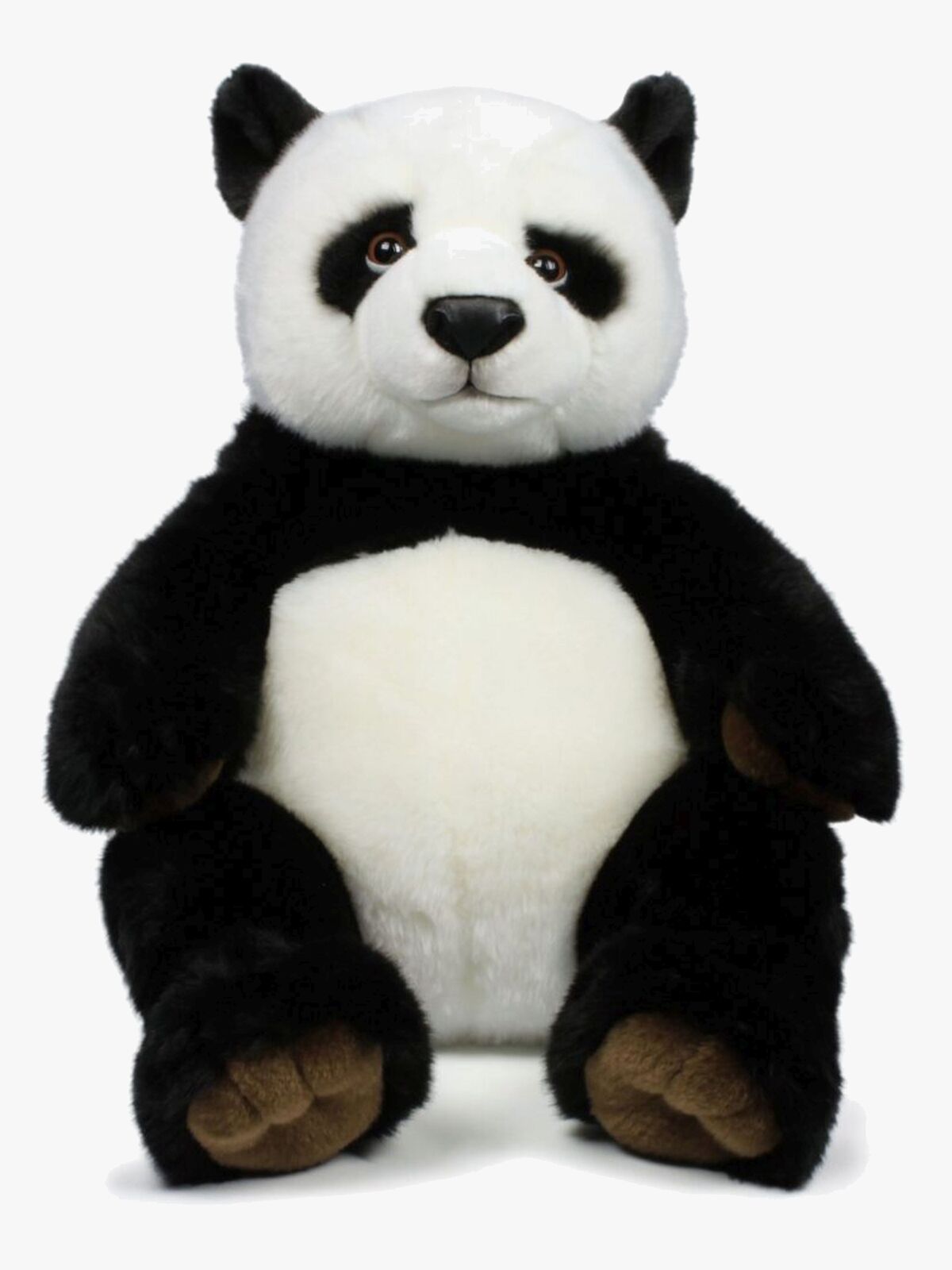 WWF183002-4212_1.jpg