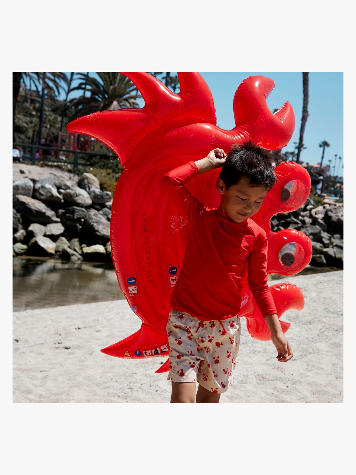2024SE1048-Crab-4663_4a.jpg