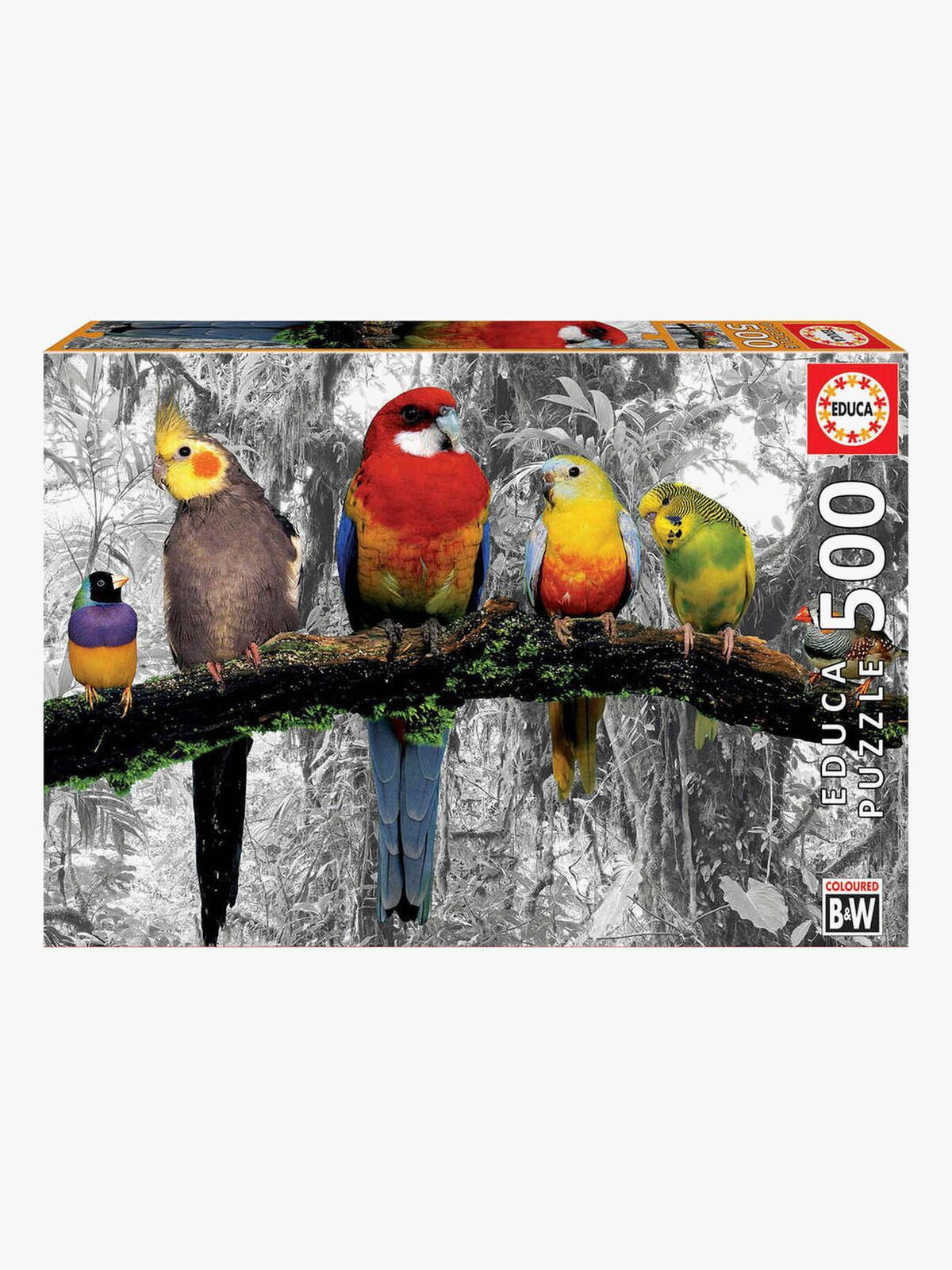 Educa Puslespil Birds On The Jungle 500 Brikker