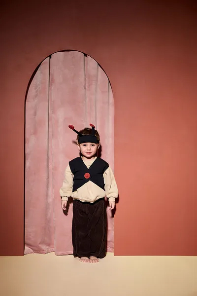 Kid's Concept Dress-Up Kostume Mariehøne