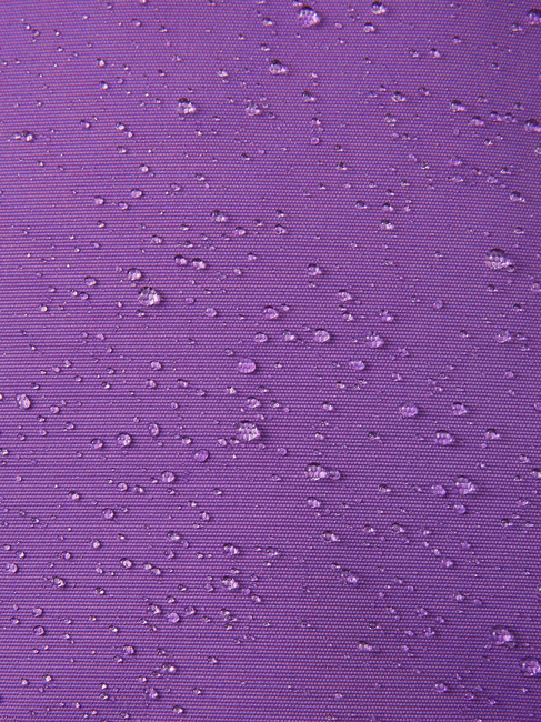 5100053A-5960-1557_4d.jpg