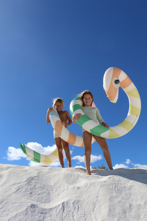 SUNNYLiFE  Stort Flydelegetøj, Poolside Sorbet Stripe