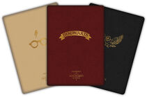 Harry Potter Notesbog 3-pak