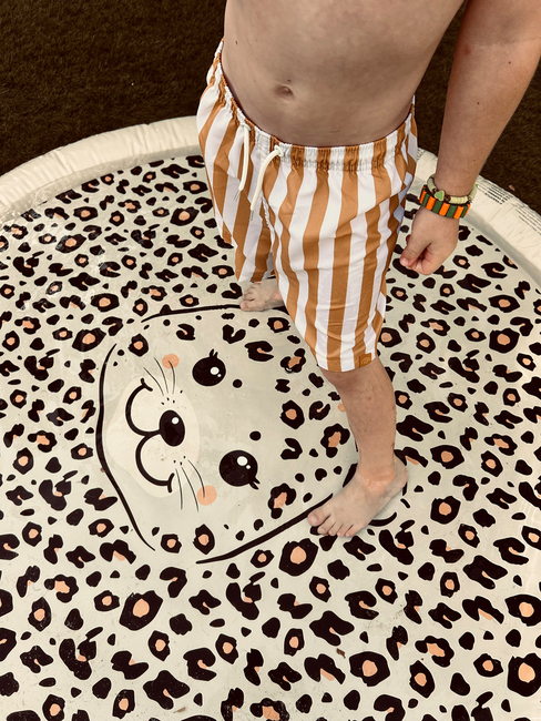 2022SE363-Safari-4663_4b.jpg