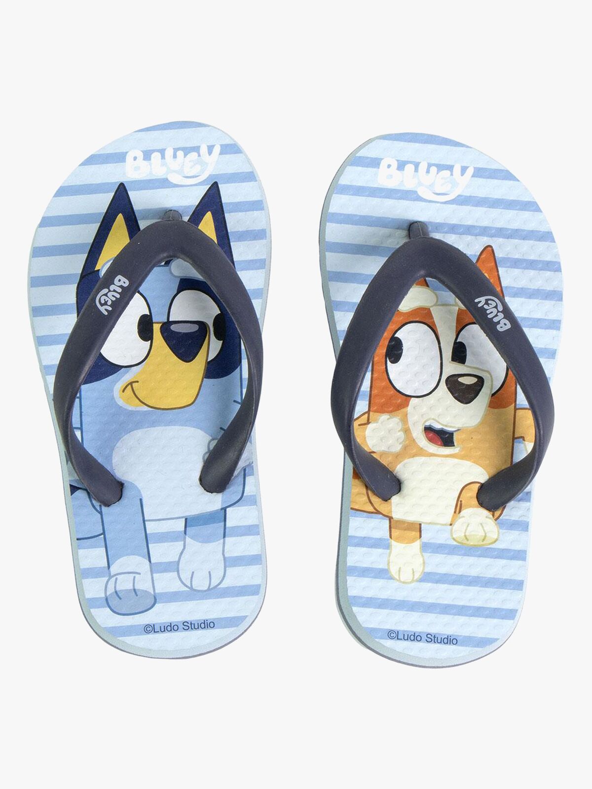 Bluey Klipklappere, Lyseblå