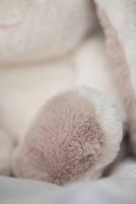 Teddykompaniet Bamse Mocca Kanin 34 cm, Creme