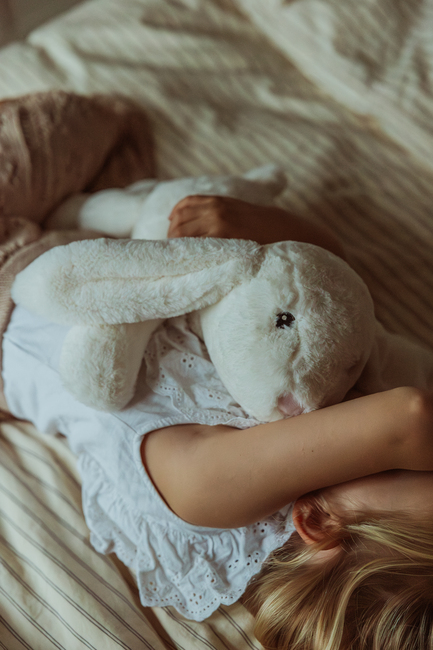 byASTRUP Tyngdebamse Kanin 1.2 kg