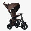 S380-17-Brown-1895_3b.jpg