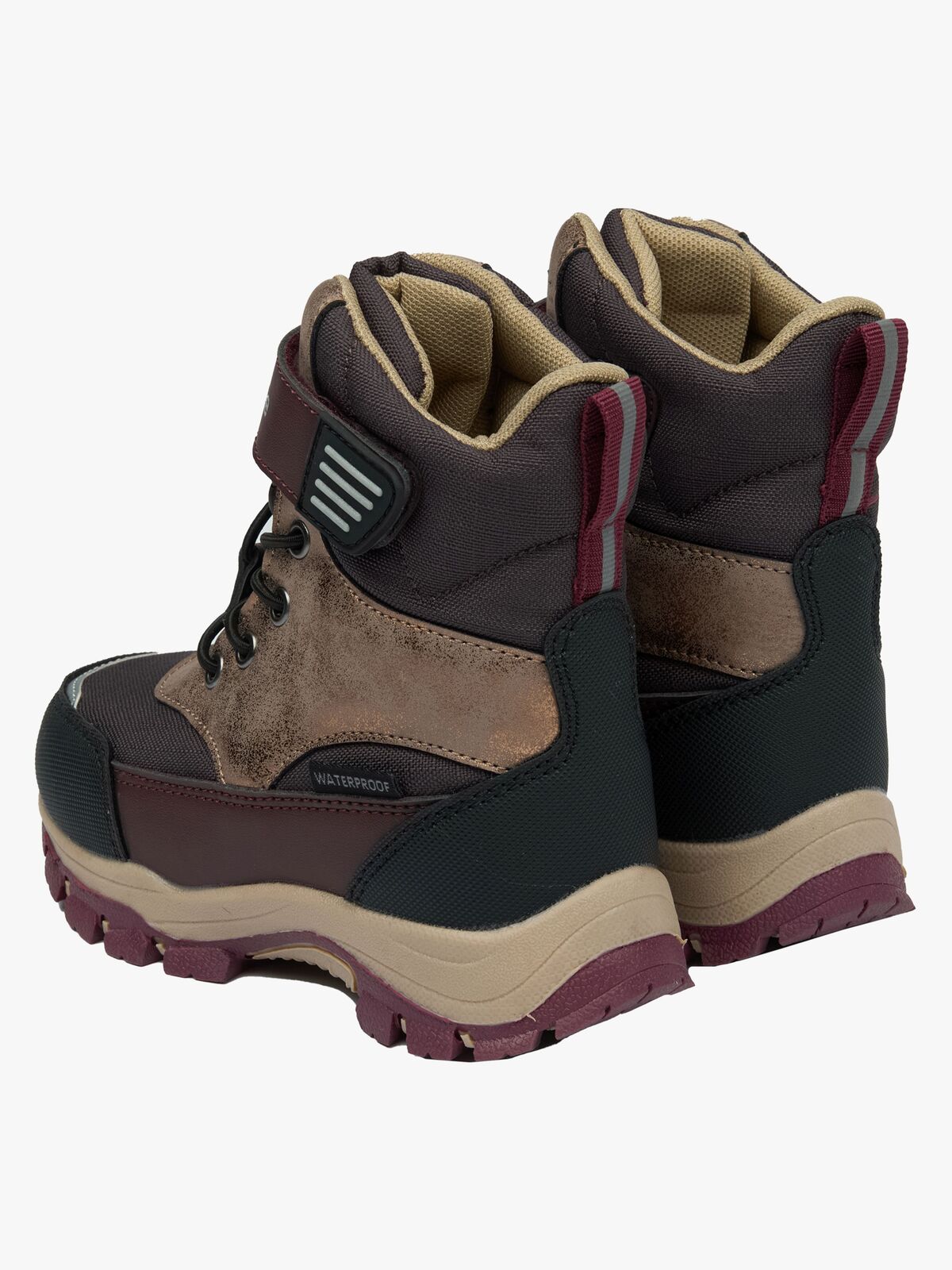 70007-Raisin-4548_3d.jpg