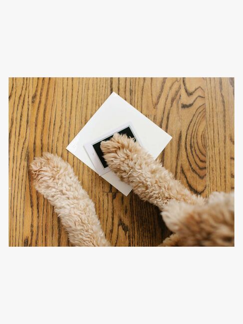 Pearhead Best friends forever Ramme