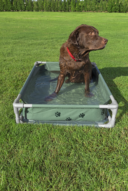 Bestway Pool til Dyr Fetchin' Fun 2-i-1