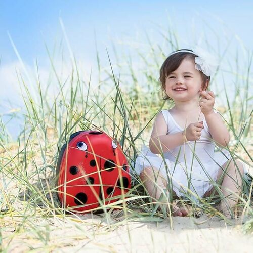 My carry Potty Potte Ladybird