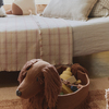 BSK-POPPY-3530_4a.jpg