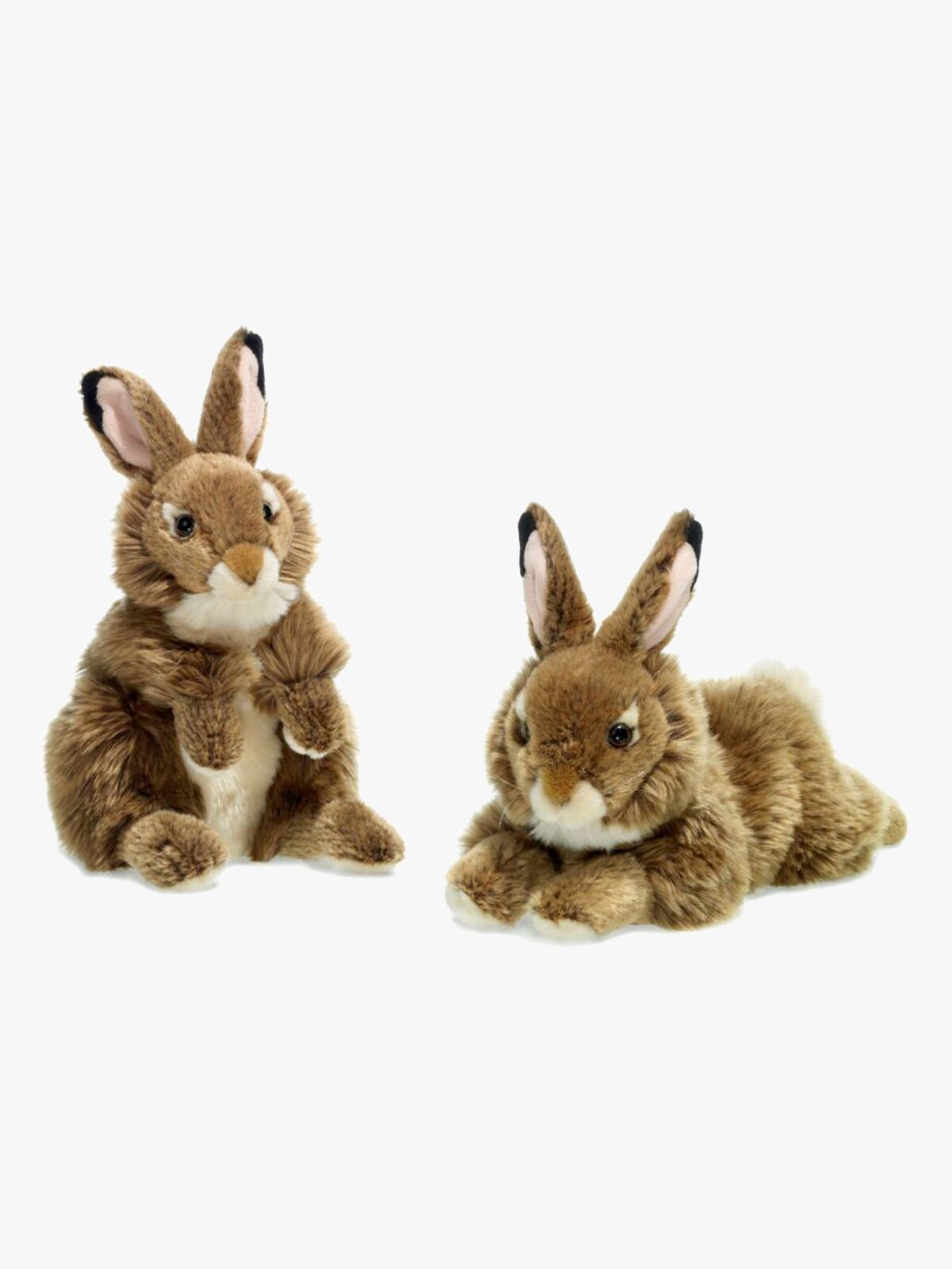 WWF182001-4212_1.jpg