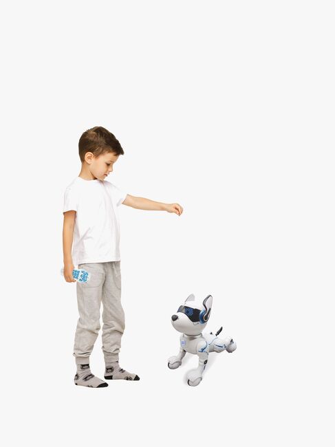 DOG01-2823_4a.jpg