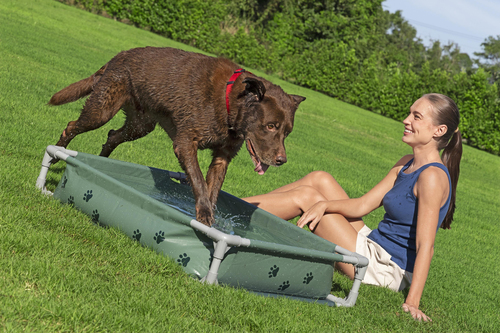 Bestway Pool til Dyr Fetchin' Fun 2-i-1