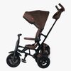 S380-17-Brown-1895_3a.jpg