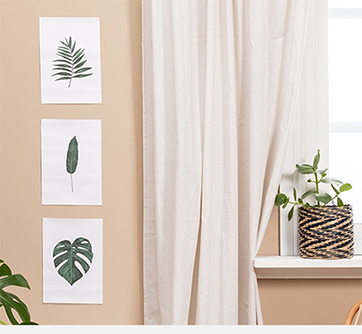Tre planteplakater på beige væg ved siden af vindueskarm med stueplante.