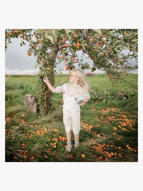 Mushie Madkasse, Sage