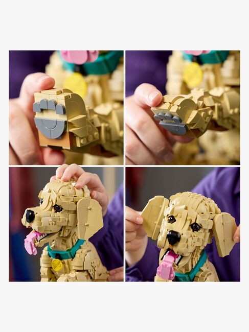 LEGO Icons 11384 Golden retriever-hvalp