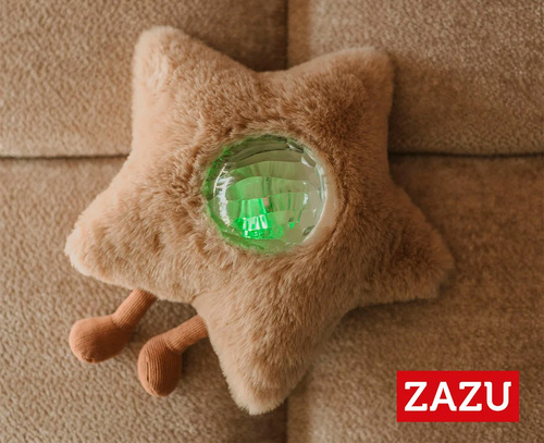 ZA-GAIA-02-1228_4a.jpg