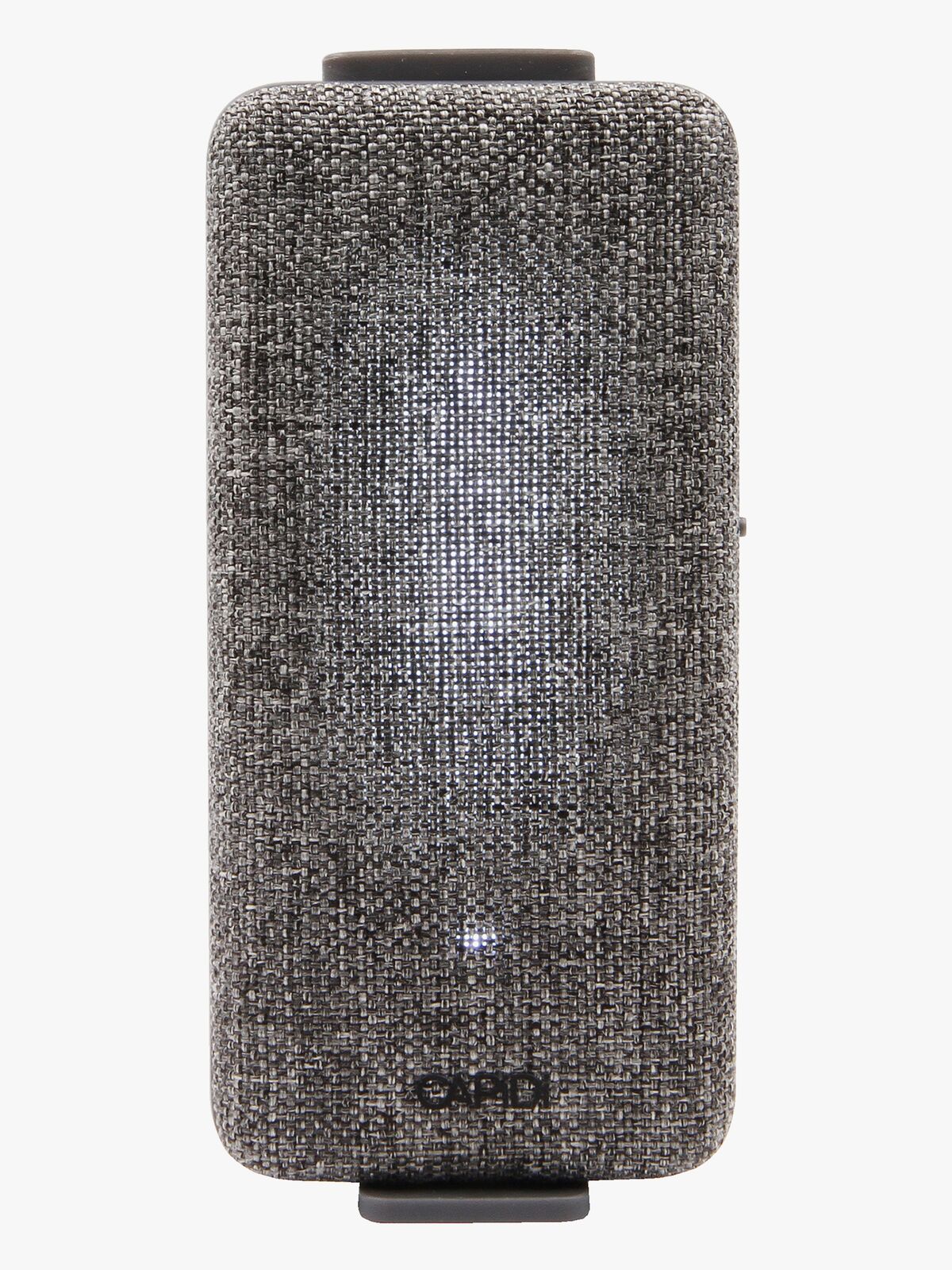 CAPREM-1-Grey-1971_3a.jpg