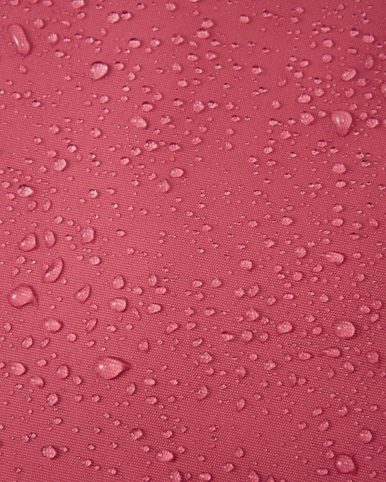 5100124A-3940-1557_4g.jpg