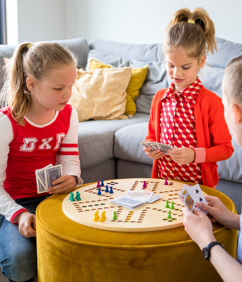 BS Toys Tock and Goose Spil