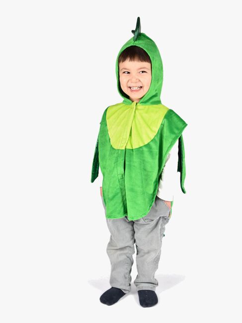 Den Goda Fen Kostume Drage