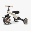 T80-Brown-1895_3b.jpg