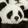 WWF183008-4212_3c.jpg