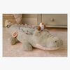 LD8321-krokodil-4563_3a.jpg