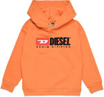 Diesel Sdivision Hoodie, Harvest Pumpkin