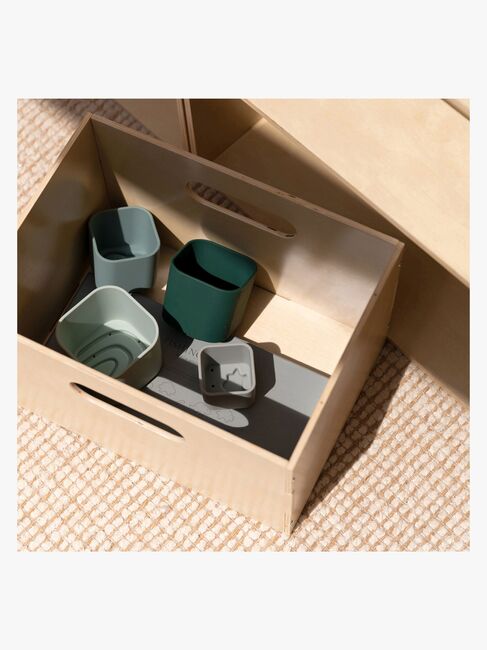 Nofred Kiddo Kasse, Birketræ