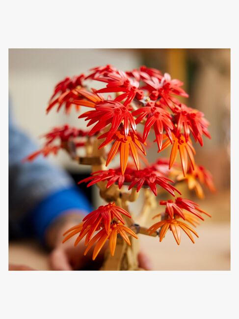 LEGO Botanicals 10348 Bonsaitræ: Japansk løn