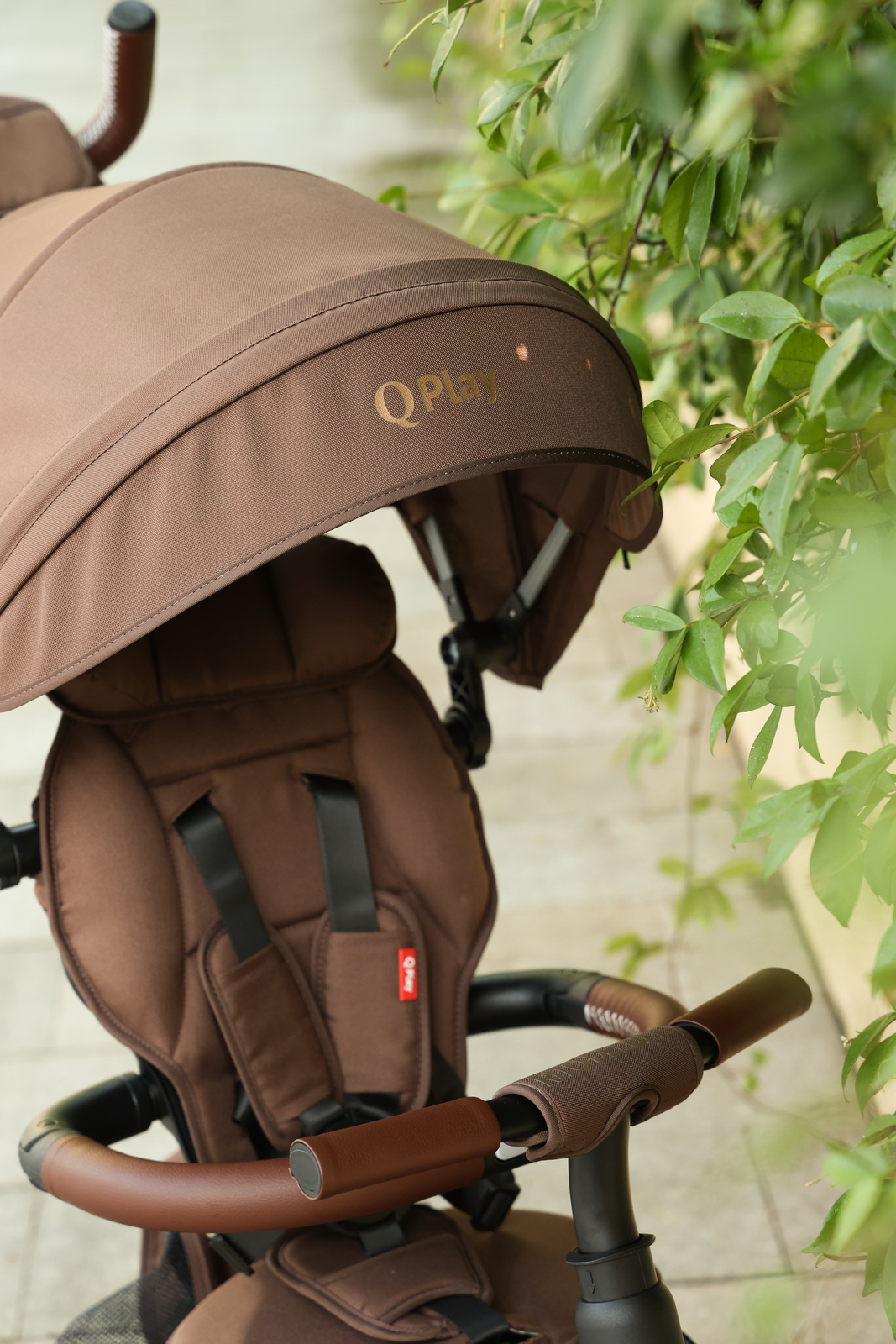 S380-17-Brown-1895_4c.jpg