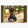 S380-17-Brown-1895_4b.jpg