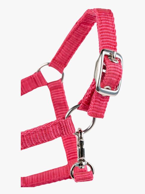 My Hobby Horse Grime, Pink