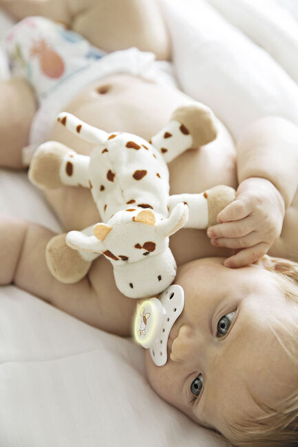 1656274_BabyBuddyCow2015_FIXAD_low.jpg
