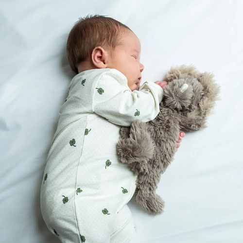 That's Mine Houston Tyngdebamse Dinosaur 0,13 kg