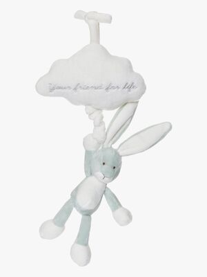 Teddykompaniet Diinglisar Sky Spilledåse, Grøn