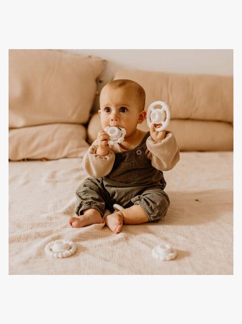 Jellystone Designs Stablelegetøj & Bidering, Regnbuefarvet