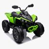 Can-Am Renegade ATV, Grøn