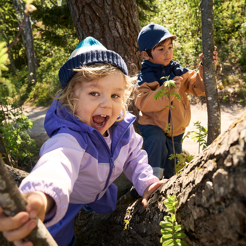 To børn i farverige jakker kigger nysgerrigt rundt om et træ i skoven.