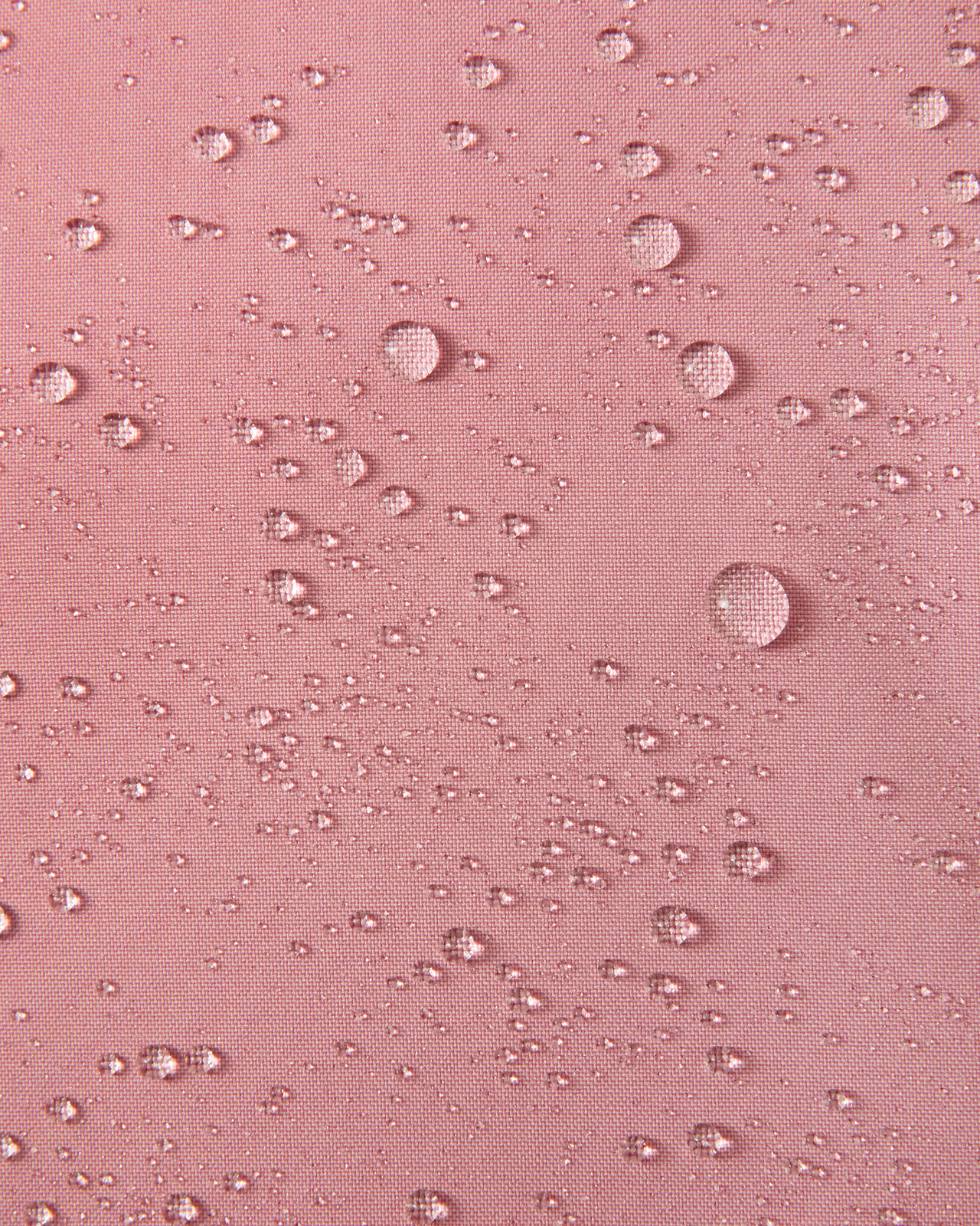 5100045B-1120-1557_4f.jpg