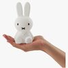 Mr Maria Miffy Bundle of Light Lampe