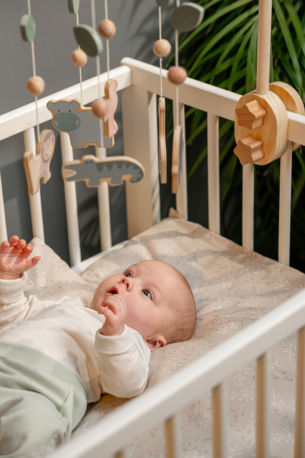 Jabadabado Sengeuro Safari, Multi