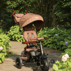 S380-17-Brown-1895_4a.jpg